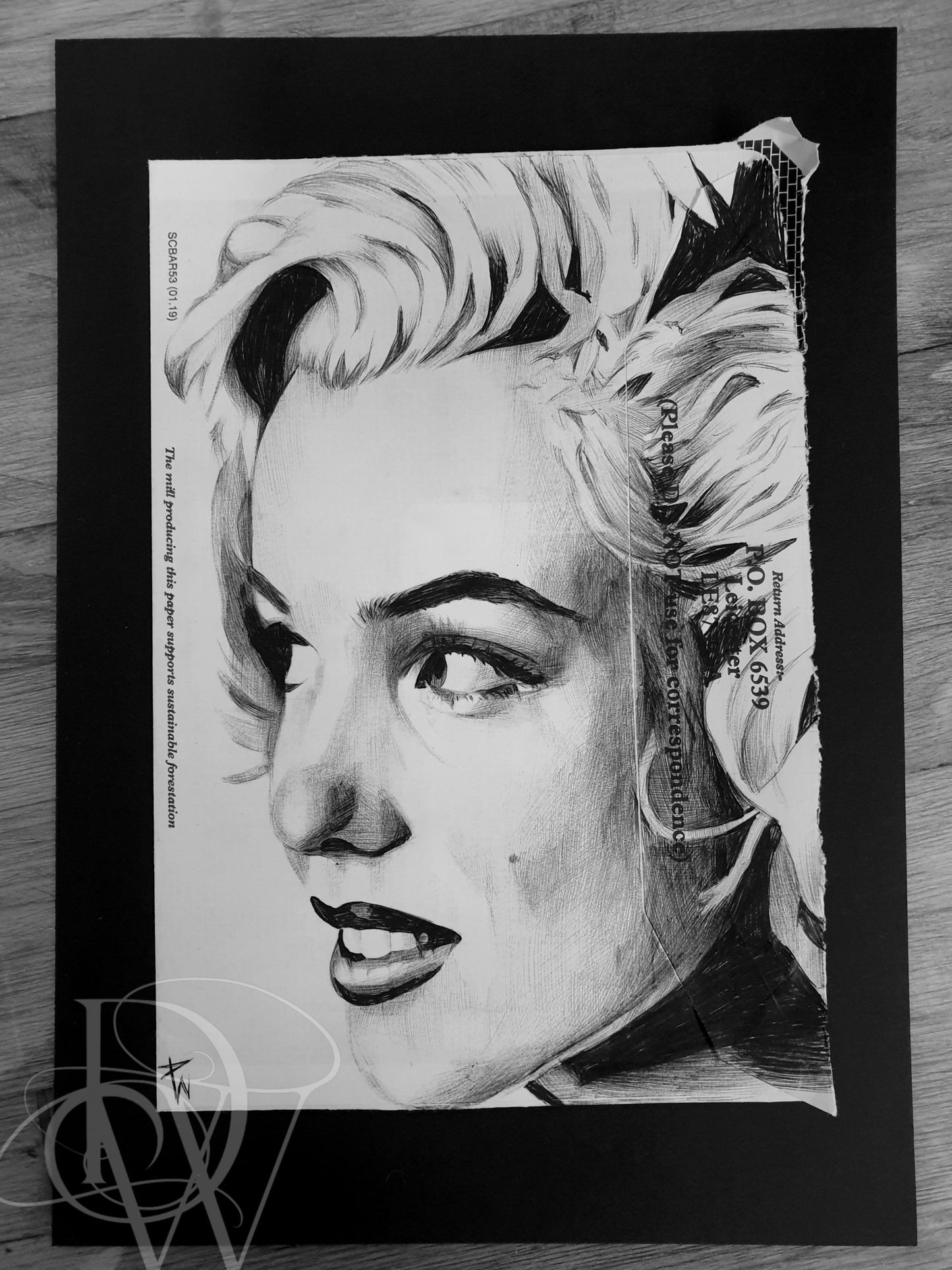 Marilyn Monroe pen drawing