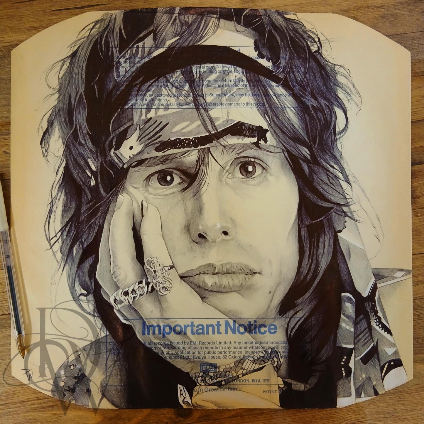 Steven Tyler portrait