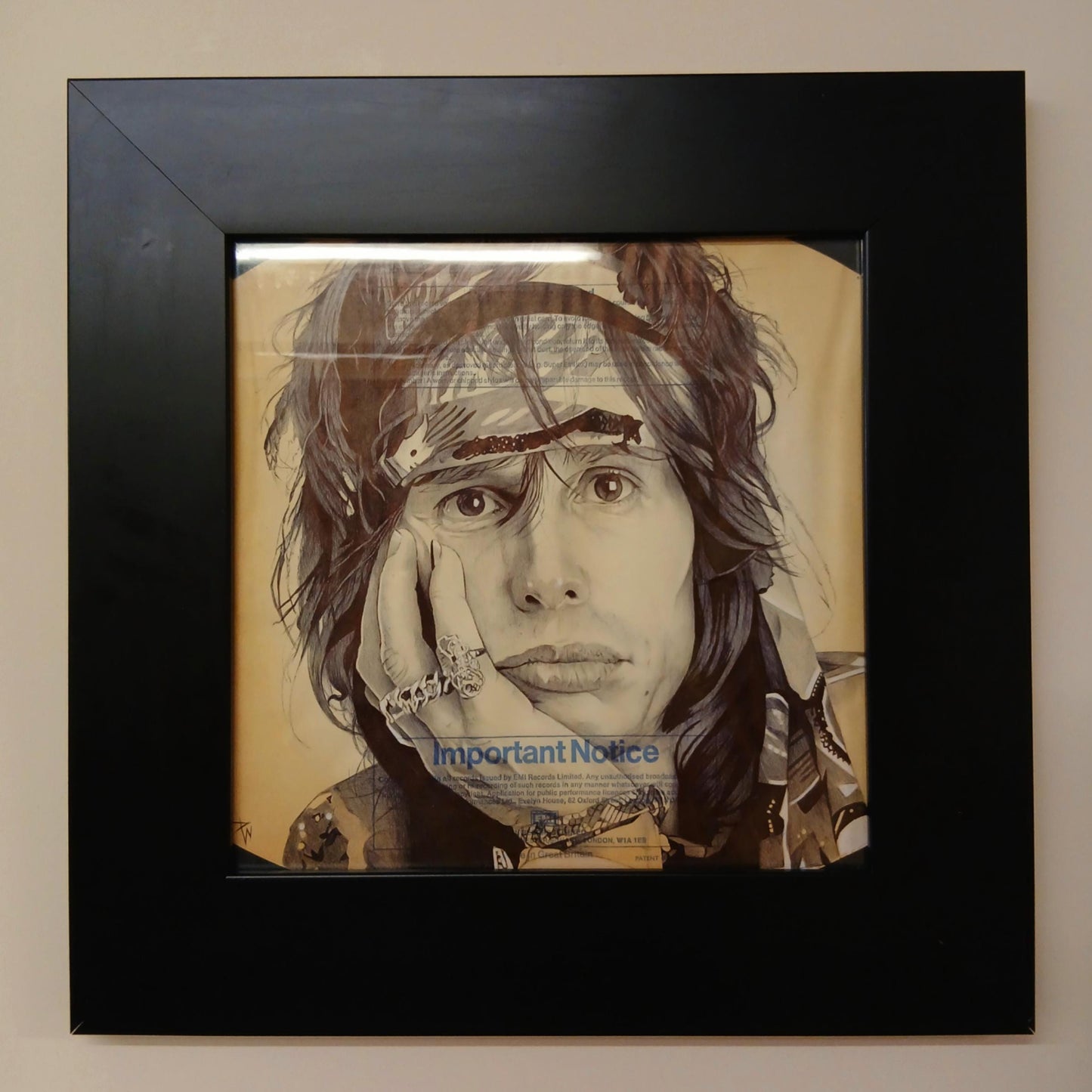Steven Tyler portrait