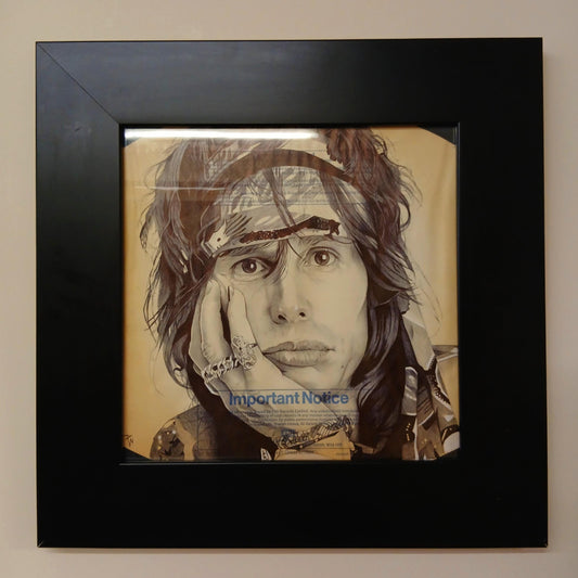 Steven Tyler portrait