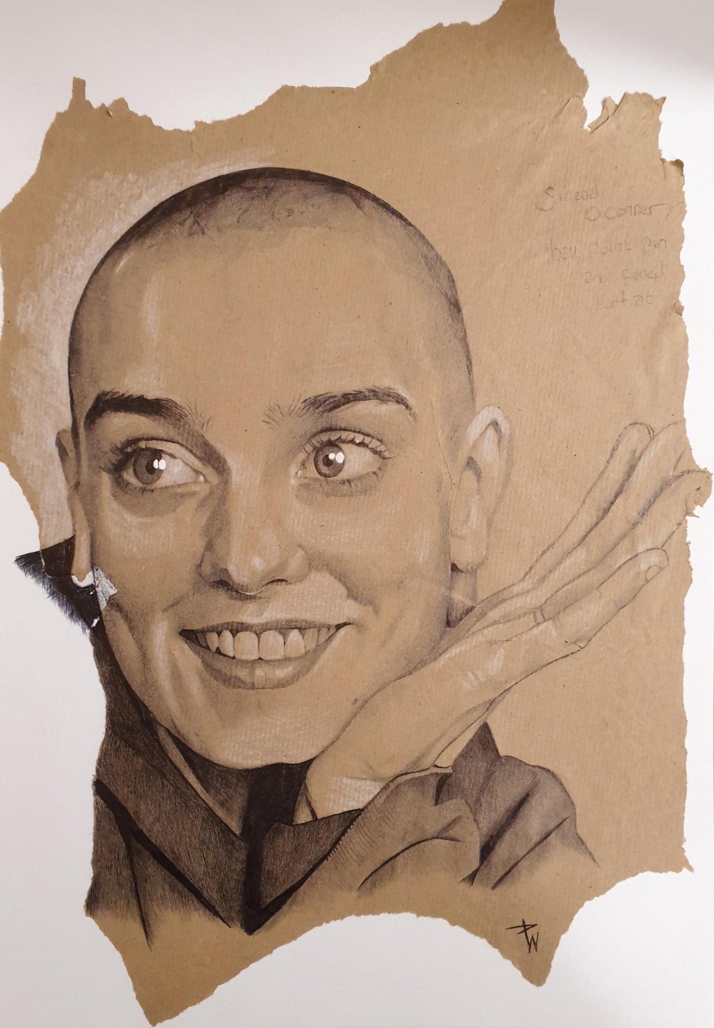 Sinead O'connor ball point pen drawing
