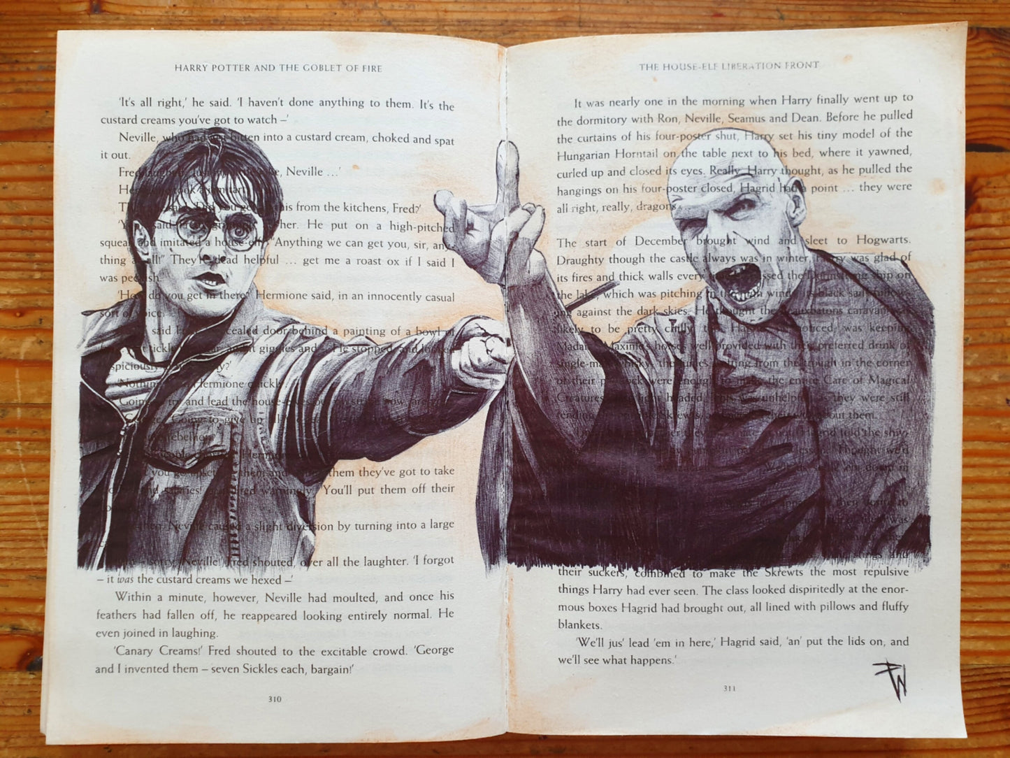 A4 Harry Potter print of my ball point pen drawing within the pages of the novel