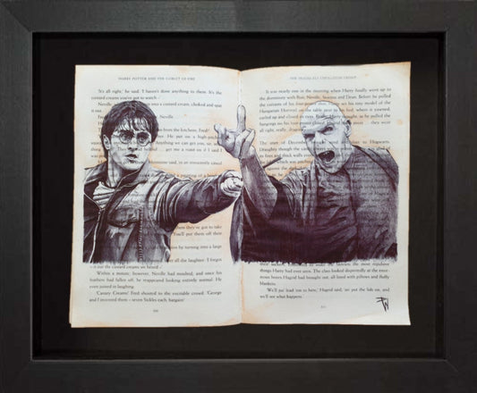 A4 Harry Potter print of my ball point pen drawing within the pages of the novel